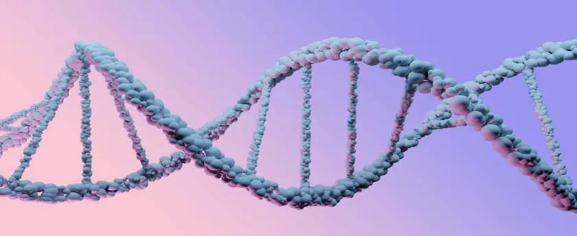 Polynucleotides DNA image