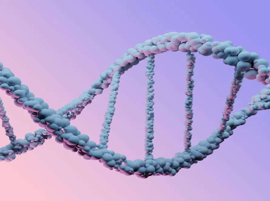 Polynucleotides DNA image