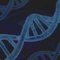 Polynucleotide Treatment: Worth the hype?